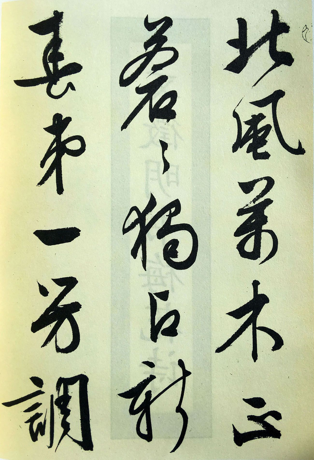 梅花詩(shī)